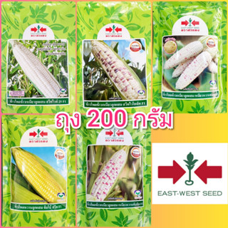 เมล็ดพันธุ์ข้าวโพด ข้าวโพด ศรแดง 200 กรัม ข้าวโพดข้าวเหนียว …