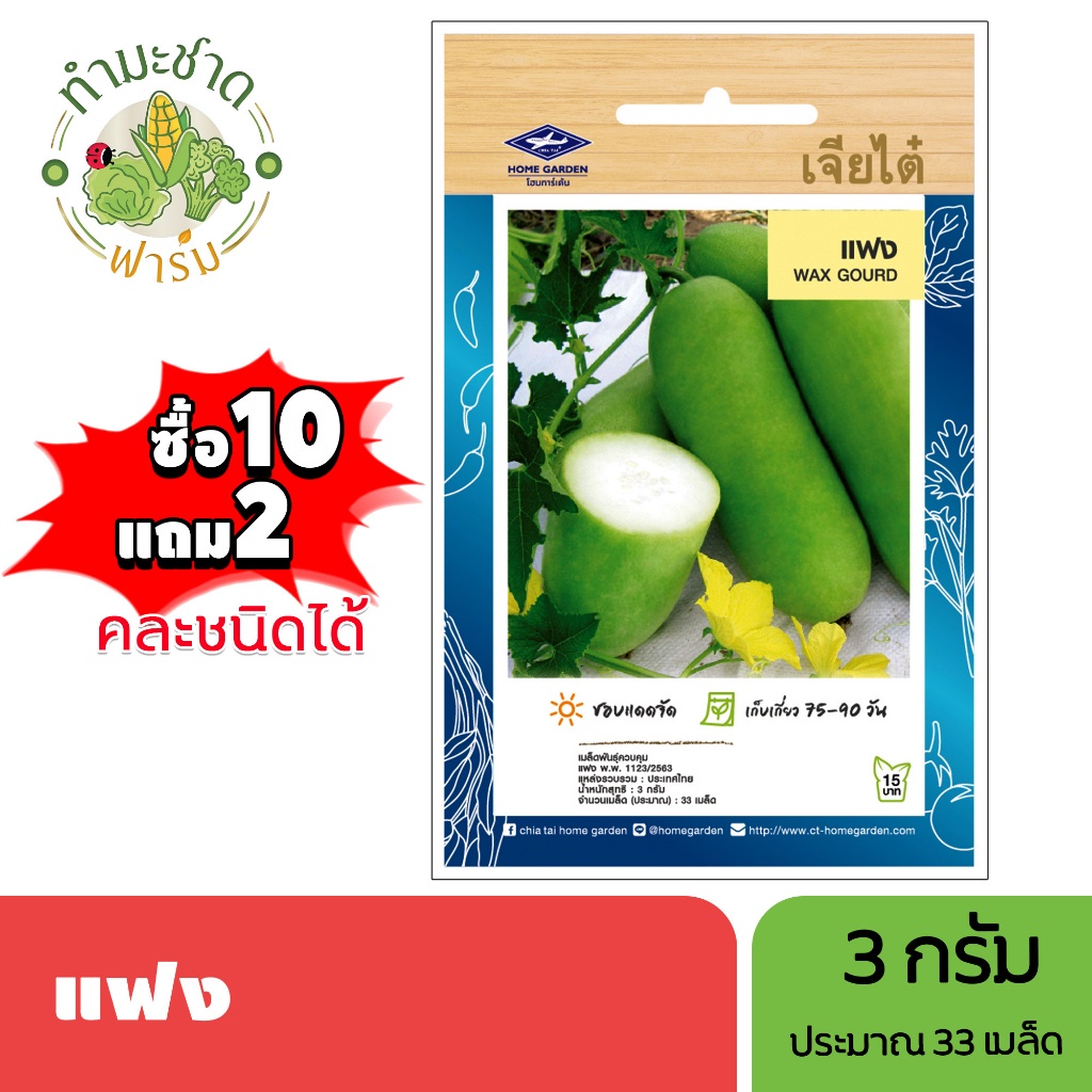 เจียไต๋ (ซื้อ10แถม2) เมล็ดพันธุ์ แฟง ขนาด3กรัม ประมาณ33เมล็ด Wax Gourd ฟักแฟง เมล็ดพันธุ์พืช เมล็ดผัก ปลูกผักสวนครัว