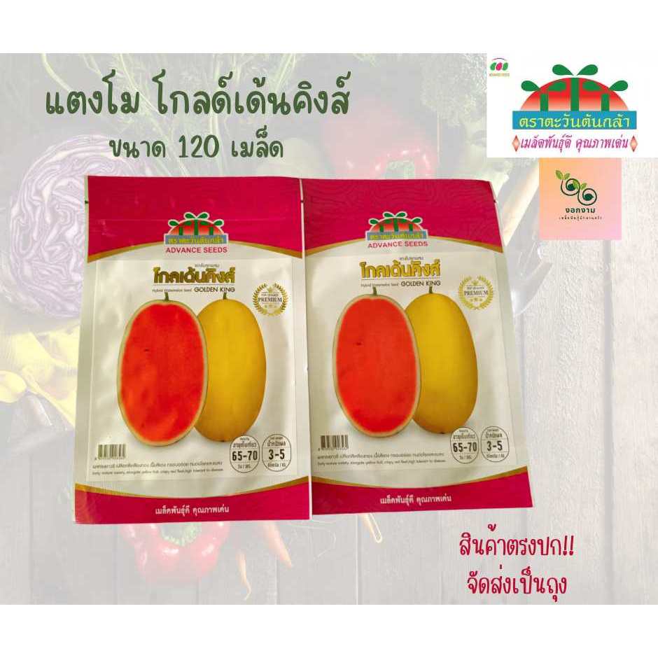 เมล็ดแตงโมโกลด์เดนคิงส์ เปลือเหลือง ผลรี เนื้อแดง ขนาด 120 เมล็ด