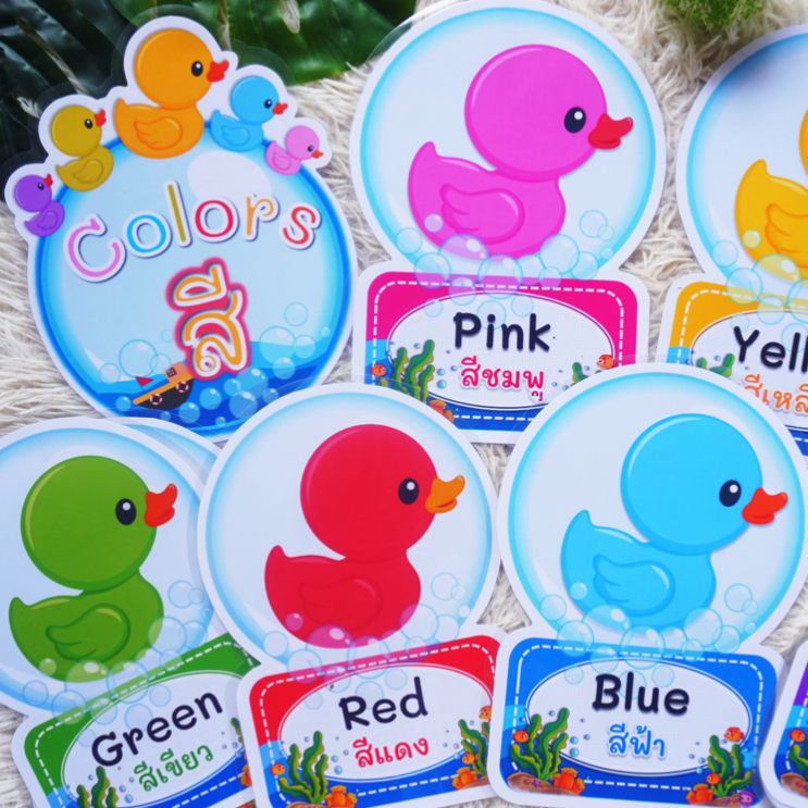 สื่อการสอน บัตรคำ หมวดสี 12 สี แบบสำเร็จรูป