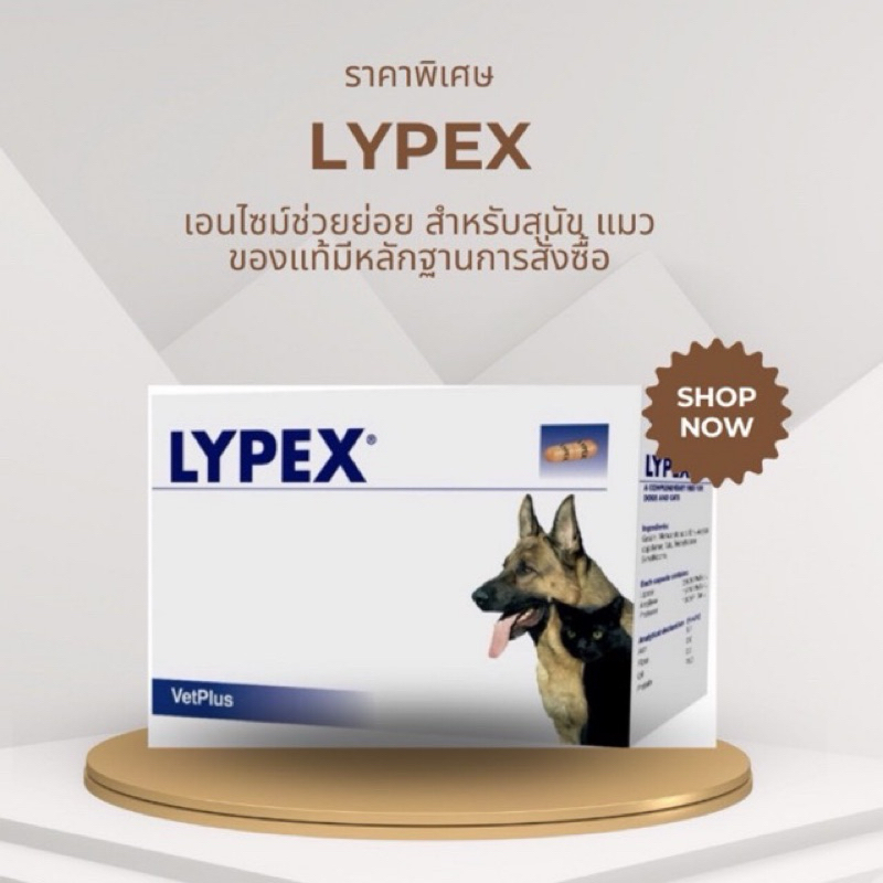 ถูกที่สุด lypex พร้อมส่งแบบกล่อง60เม็ด ของแท้💯 ส่งไวมาก หมดอายุ2026