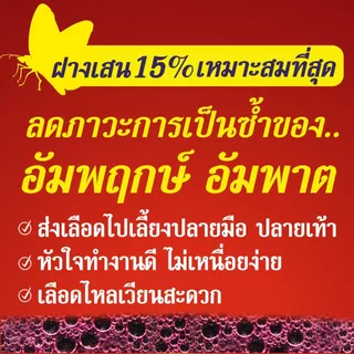 ของแท้ 💯ส่งฟรี ⚡ สมุนไพรก้านตองหมออุบล บำรุงเลือด วัยทอง ผิวแห้ง บ้านหมุน เรนโบว์นี่ 1 แถม1
