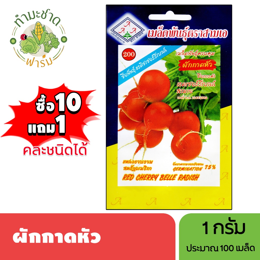3A (ซื้อ10แถม1) เมล็ดพันธุ์ แรดิช ขนาด1กรัม ประมาณ125เมล็ด RADISH หัวไชเท้า ผักกาดหัว เรดเชอรี่เบลล์ เมล็ดพันธุ์พืช
