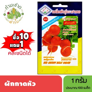 3A (ซื้อ10แถม1) เมล็ดพันธุ์ แรดิช ขนาด1กรัม ประมาณ125เมล็ด R…