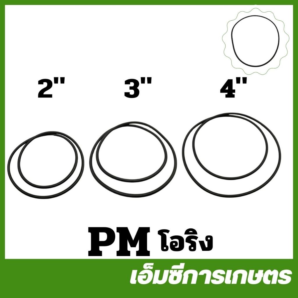 PM อะไหล่ โอริง 2 / 3 / 4 นิ้ว ปั๊มชนเครื่อง ( PM-10 / PM-11 / PM-64 )
