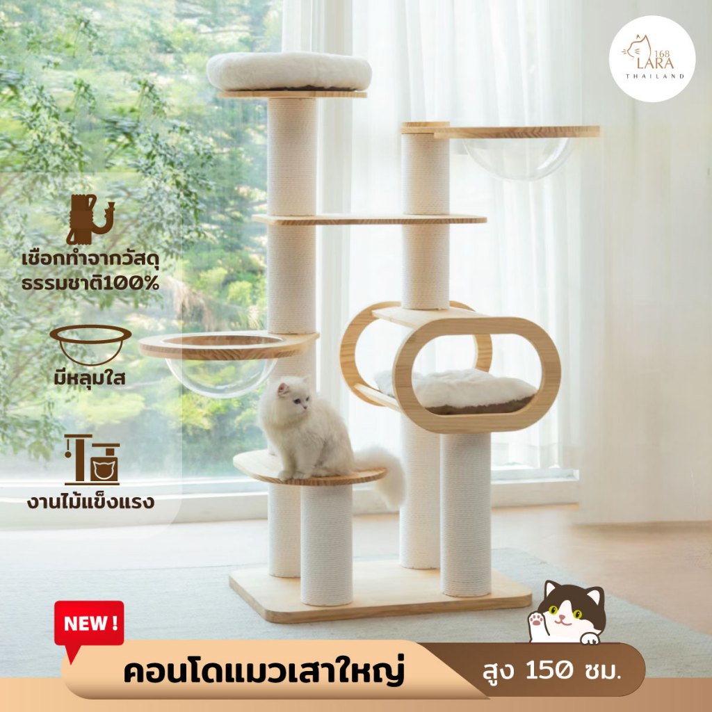 New!! คอนโดไม้ยางพารา เสาใหญ่พิเศษ15ซม. สูง150ซม. คอนโดแมวสไตล์มินิมอล (A63)