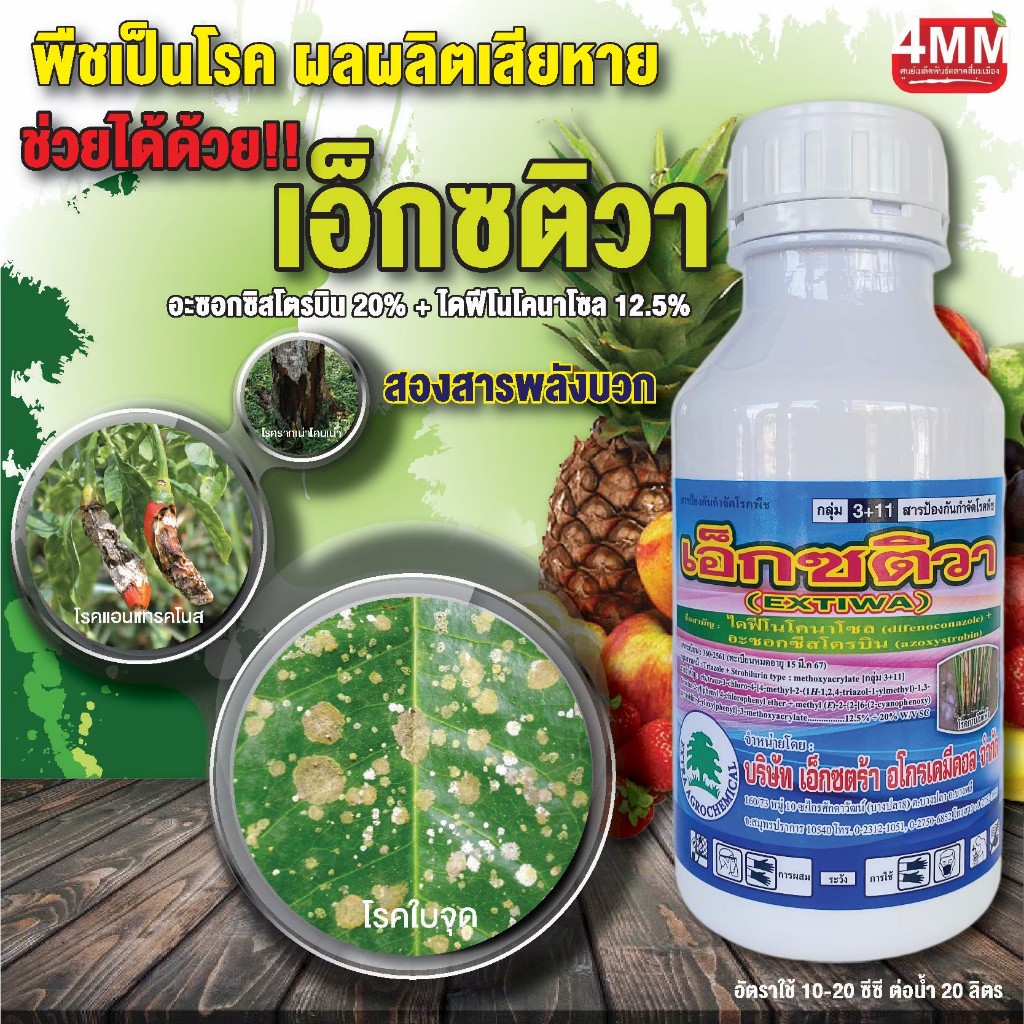 เอ็กซติวา ขนาด 500 ซีซี