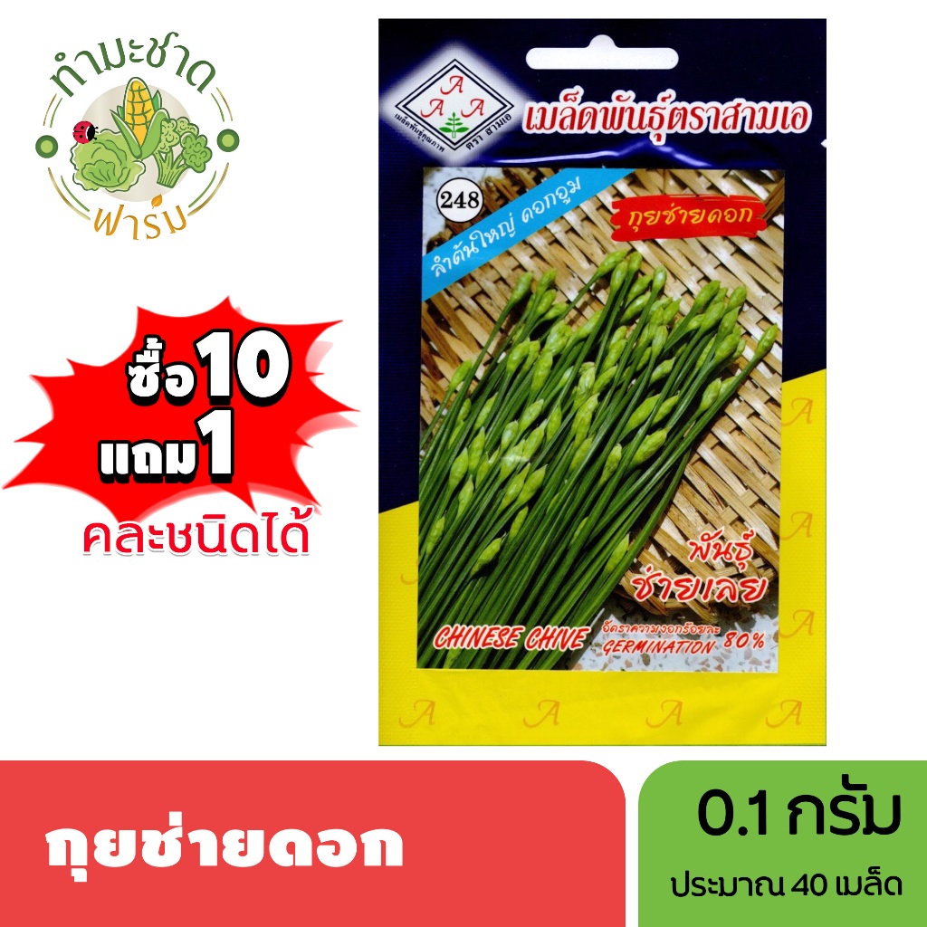 3A (ซื้อ10แถม1) เมล็ดพันธุ์ กุยช่ายดอก ขนาด0.1กรัม ประมาณ40เมล็ด CHINESE CHIVE กุ้ยช่าย กุ้ยฉ่าย กุยฉ่าย เมล็ดพันธุ์พืช