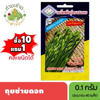 3A (ซื้อ10แถม1) เมล็ดพันธุ์ กุยช่ายดอก ขนาด0.1กรัม ประมาณ40เ…