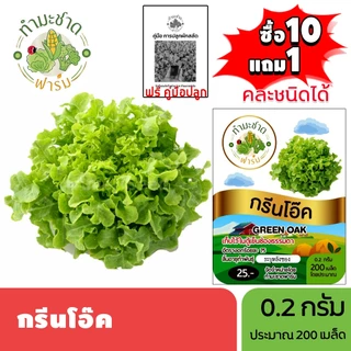 ทำมะชาดฟาร์ม (ซื้อ10แถม1) เมล็ดพันธุ์ กรีนโอ๊ค ขนาด0.2กรัม ประมาณ200เมล็ด GREEN OAK ผักสลัด เมล็ดพันธุ์พืช เมล็ดผัก