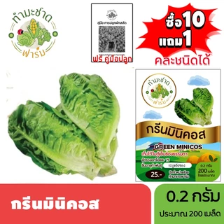 ทำมะชาดฟาร์ม (ซื้อ10แถม1) เมล็ดพันธุ์ กรีนมินิคอส ขนาด0.2กรัม ประมาณ200เมล็ด GREEN MINICOS ROMAINE LETTUCE เบบี้คอส