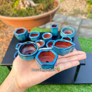 กระถางเซรามิกเคลือบ(ใบจิ๋ว) สีน้ำเงิน มีให้เลือก 15 แบบ