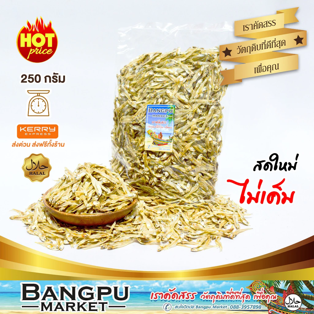 รวมมิตร ปลาทะเลแปรรูป ตากแห้ง ปลากะตัก ปลาข้าวสาร ปลาซิวแก้ว ปลาเกล็ดข้าว ปลาหลังเขียว ปลากระเบนวงปลาแมว Tuyo Dried fish thumbnail 9