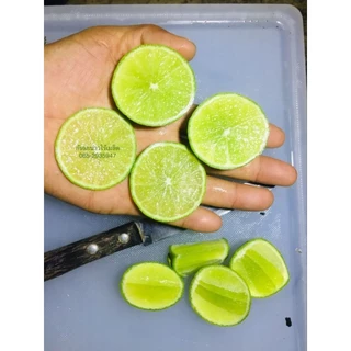 มะนาวไร้เม็ดปลอดสาร แพ็คละ12ลูก(Limes, tablets, free from substances, 12 pieces per pack)