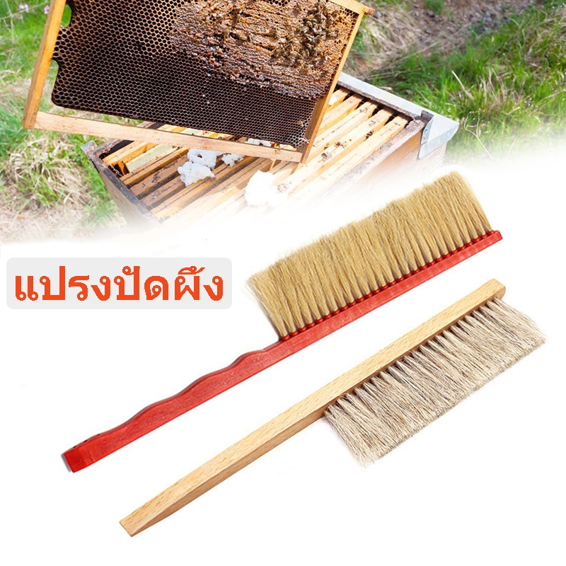 ถูกแปรงปัดผึ้ง แปรงไม้กวาดน้ําผึ้ง ทำความสะอาดผึ้ง beekeeping อุปกรณ์สำหรับเลี้ยงผึ้ง ไม่เป็นอันตรายต่อผึ้ง

<p>“><center></p>
<h4></h4>
<p><p><font color=