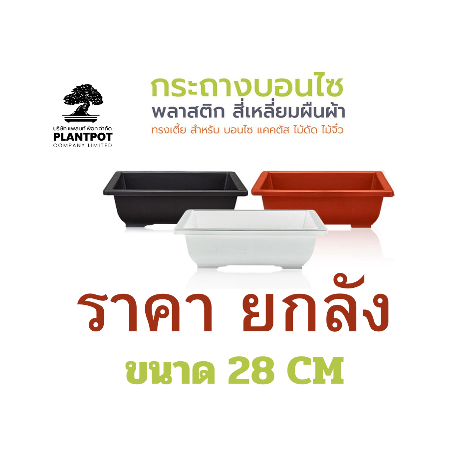 กระถางพลาสติกผืนผ้าขนาด 28 cm (ขายยกลัง PR-028) ทรงเตี้ย สำหรับ บอนไซ แคคตัส ชวนชม ไม้ดัด ไม้แคระ ไม้จิ๋ว