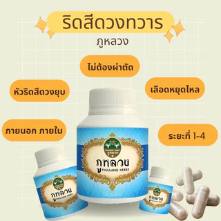 ริดสีดวง ริดสีดวงทวาร ตรา ภูหลวง สำหรับริดสีดวงทวารทุกระยะไม่ต้องผ่าตัด ขวด 100 แคปซูล (พร้อมส่ง ล็อตใหม่ ไม่ค้างสต็อก)