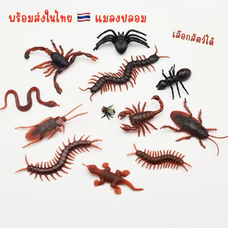 🔥พร้อมส่ง🔥 แมลงสาบปลอม ขี้ปลอม สัตว์ปลอม แมลงปลอม ตะชาบปลอม  งูปลอม แมงมุมปลอม โมเดลสัตว์ปลอม
