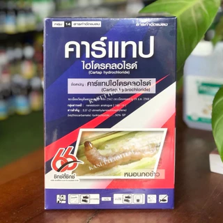 คาร์แทปไฮโดรคลอไรด์(ตราซิกตี้ซิกซ์66)☘️ขนาด 1 กิโลกรัม🐛สารป้องกันกำจัดแมลง หนอน ด้วงหมัดผัก