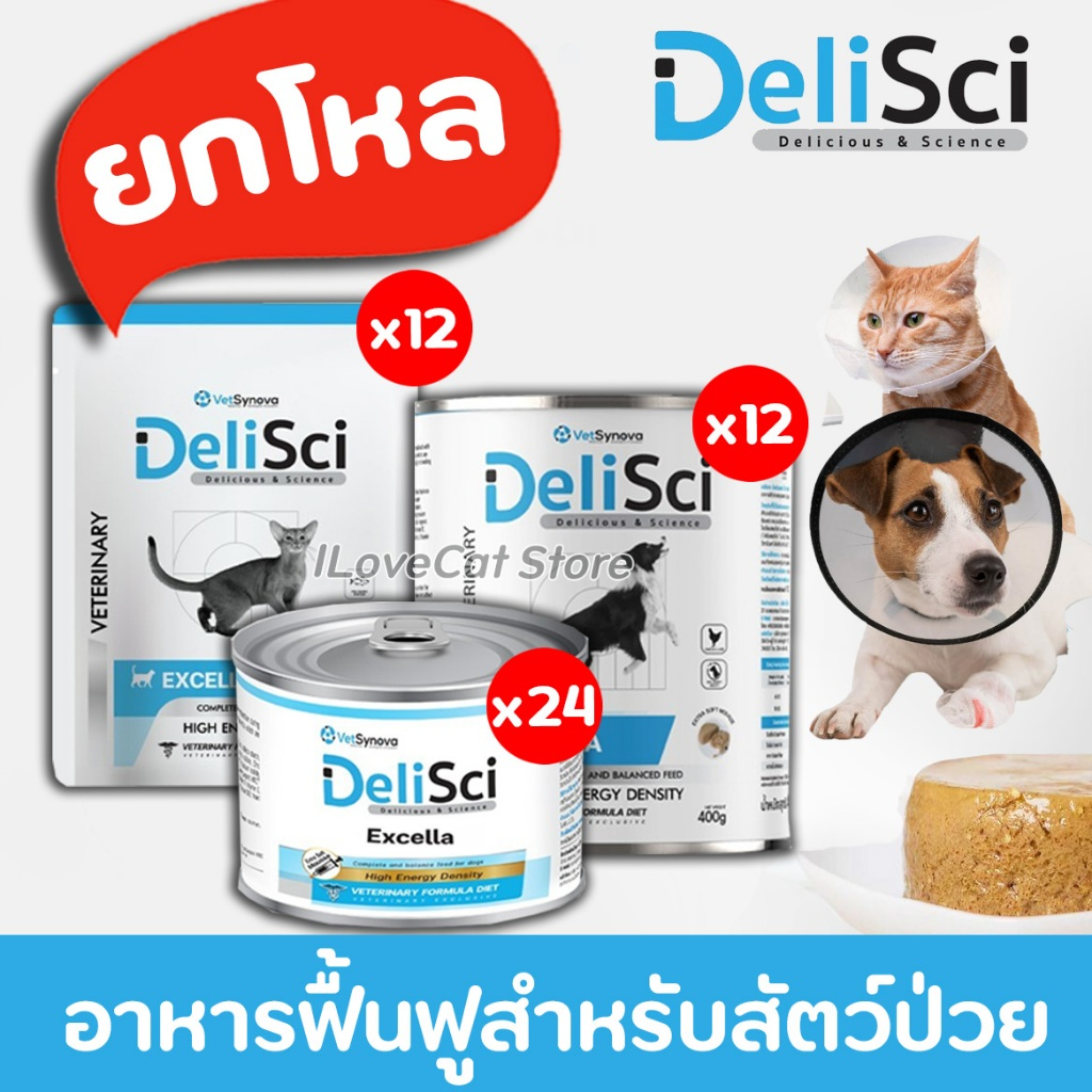 【ยกโหล】DeliSci อาหารเปียกฟื้นฟูสําหรับสัตว์ป่วย สำหรับสัตว์ สุนัข แมว ป่วย และพักฟื้นหลังการผ่าตัด ที่ต้องการพลังงาน