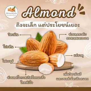 🌰อัลมอนด์ (อบธรรมชาติ ,อบเกลือ ,อบเนย) 200กรัม🌿นำเข้าจากUSA🇺🇸สินค้าอบวันต่อวัน หอม กรอบ อร่อย💯