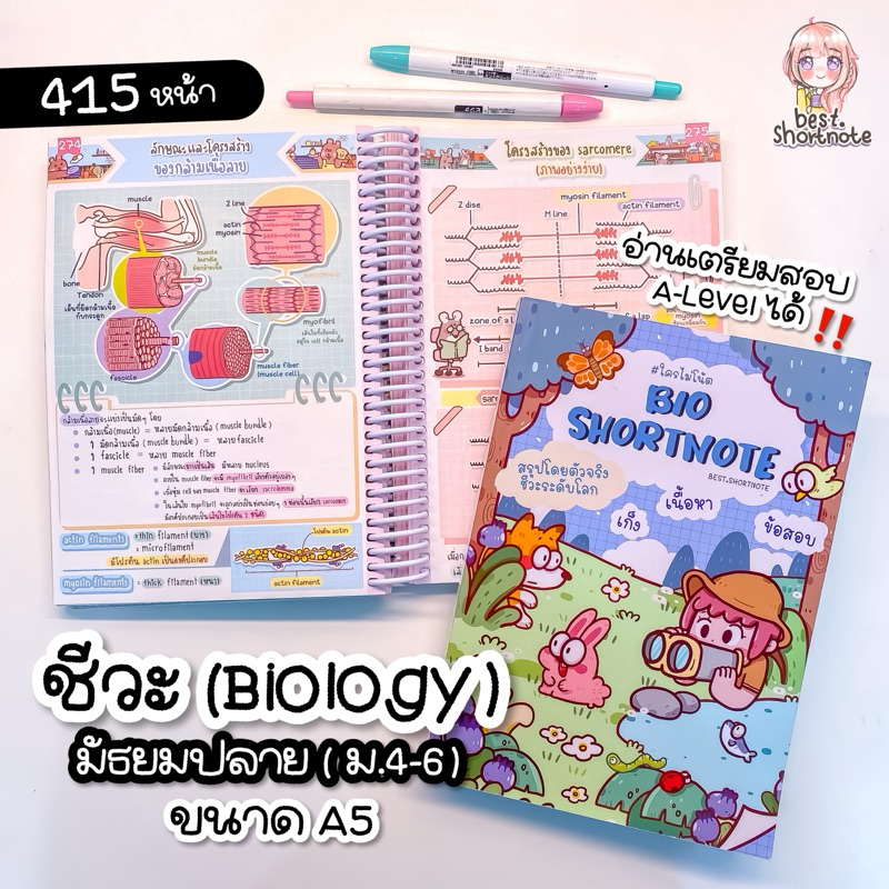ชีทสรุปชีวะ ม.ปลาย (ม.4-6) อ่านเพิ่มเกรดและเตรียมสอบเข้ามหาลัย
