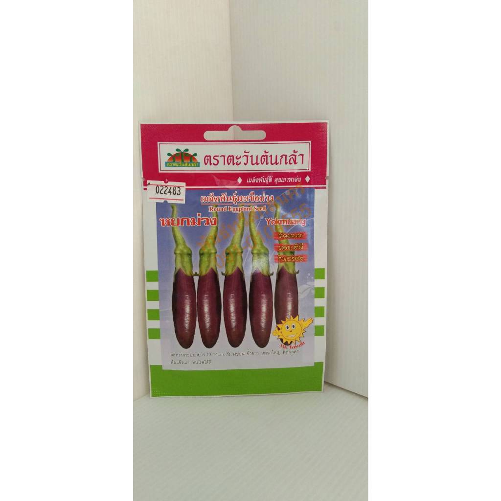 เมล็ดมะเขือม่วงลิง หยกม่วง V62