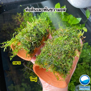 ท่อดินเผาพันมอส และท่อเปล่าสำหรับเป็นที่ให้ปลาหลบ