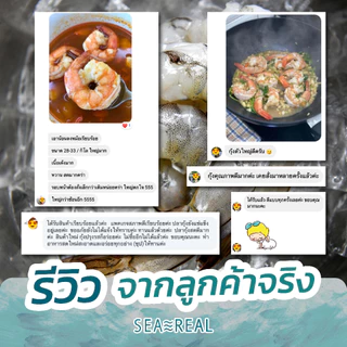 Seareal กุ้งขาวสดแช่แข็งแกะเปลือกผ่าหลังถอดหาง น้ำหนักกุ้ง 100% Frozen Raw Shrimp (PD) N.W. 100%