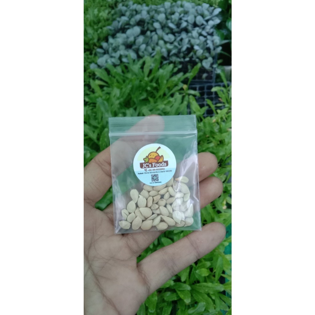 เมล็ดพันธุ์ มะนาว Lime seed เมล็ดมะนาวแป้น ผลดกน้ำเยอะ สำหรับปลูก 20เมล็ด ซองละ  29 บาท