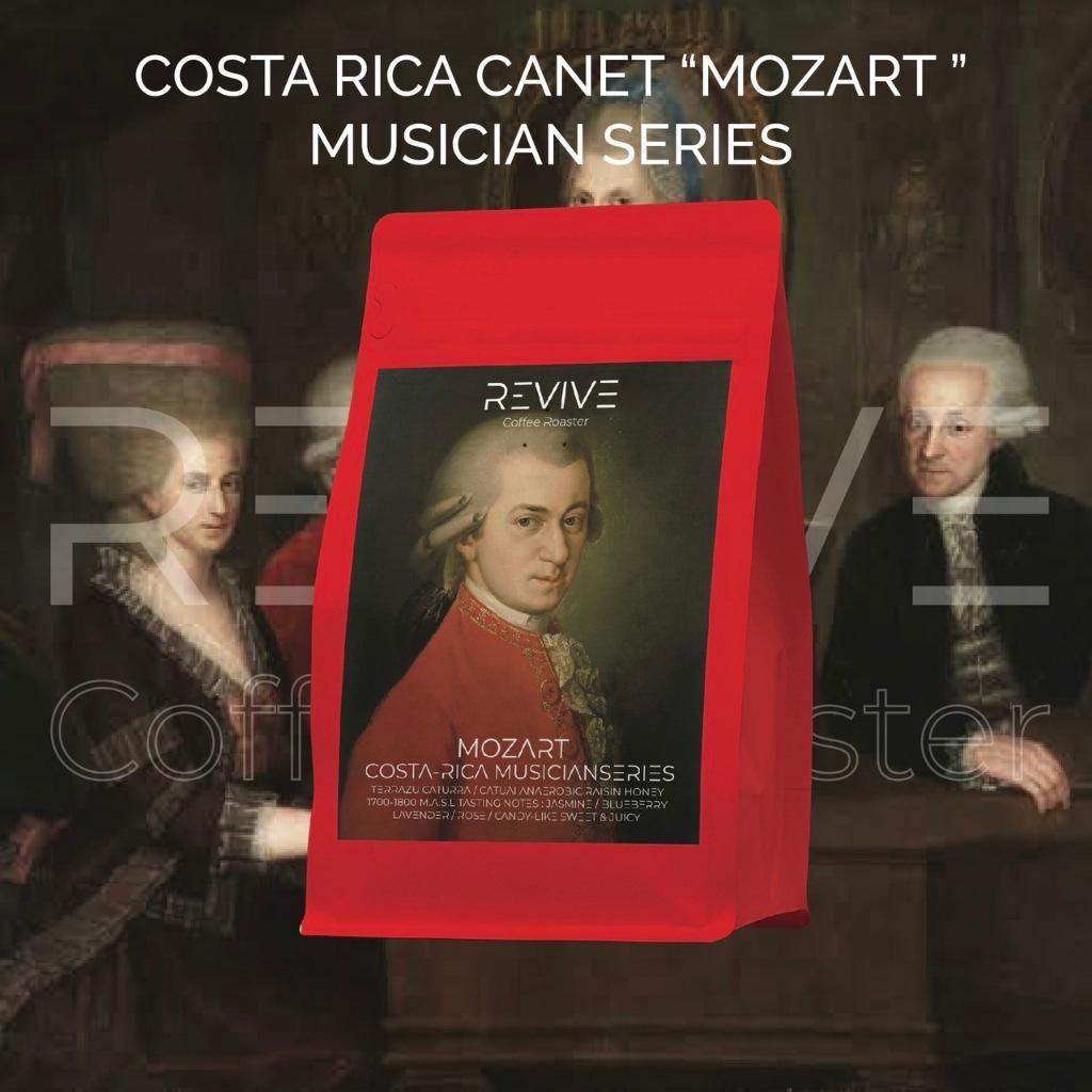 Revive Coffee Roaster เมล็ดกาแฟคั่วอ่อน Costa Rica Canet Mozart