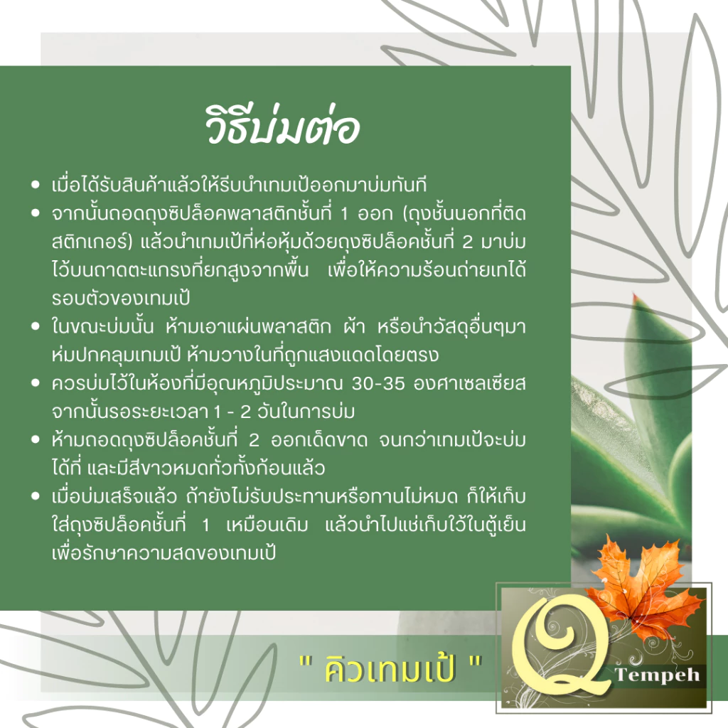 เทมเป้ถั่วเหลืองผสม 3 สี (200g-1kg) โปรตีนถั่วธัญพืชที่มีโพรไบโอติกส์และไฟเบอร์สูง นำไปบ่มต่อได้ง่าย thumbnail 5