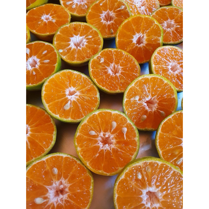 ส้มสายน้ำผึ้งฝาง 5กก. #ส่งฟรี# สำหรับคั้นน้ำแกะทานเนื้อได้ เก็บสดจากสวนทุกวัน