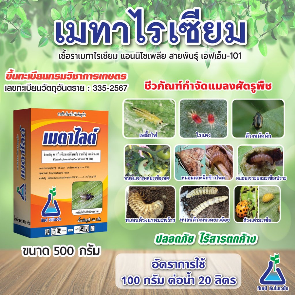 เมตาไลต์ ขนาด 500 กรัม เมตาไรเซียม เมทาไรเซียม แอนิโซเพลีย สายพันธุ์ เอฟเอ็ม-101 ชีวภัณฑ์กำจัดเพลี้ยไฟ ไรแดง ด้วง ปลวก