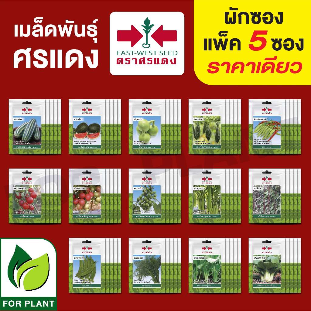 ขายปลีก เมล็ดพันธุ์ ผักซอง ตราศรแดง VP3 แพคชนิดละ 5 ซอง ราคา 45 บาท {คละชนิดได้ กดใส่ตะกล้าไว้ก่อนแล้วค่อยกดยืนสั่งซื้อ}