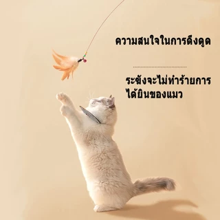 ของเล่นเเมว ของเล่นแมว ไม้ตกแมว แบบสปริง ล่อแมว ลวดสลิง ไม้แมว ยาวสุด ไม่ล่อแมว ของเล่น สำหรับแมว สำหรับสัตว์เลี้ยง