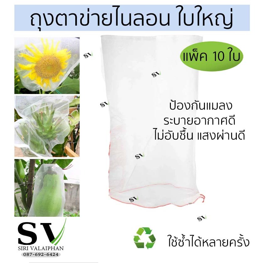 ถุงตาข่ายไนล่อน ใบใหญ่ แพ็ค 10 ใบ ป้องกันแมลง ตาข่ายตาถี่ ระบายอากาศได้ดี ไม่อับชื้น แสงผ่านดี