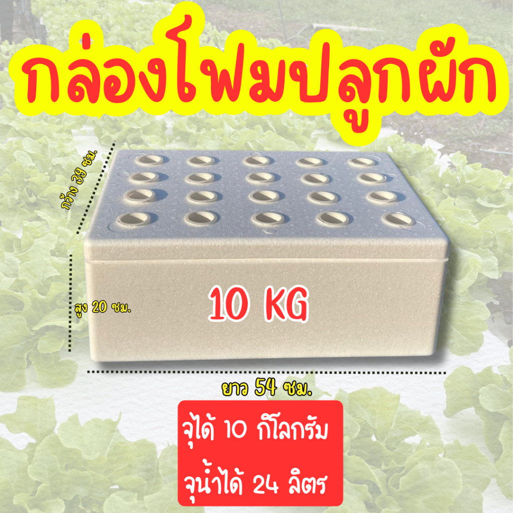 กล่องโฟมปลูกผัก กล่องโฟมปลูกผักไฮโดรโปนิกส์ ปลูกผักไร้ดิน (**มือ 1**) กล่องกุ้ง 10 kg จุน้ำได้ 24 ลิตร