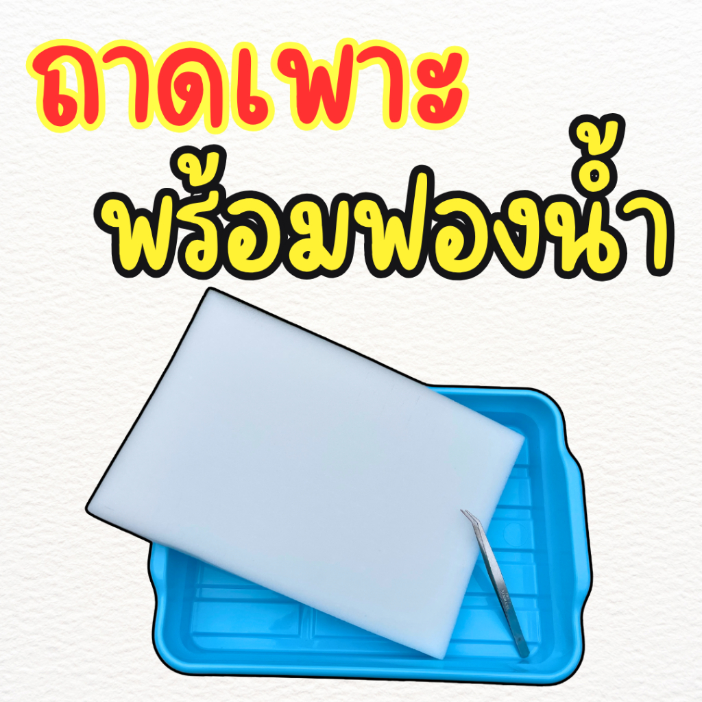ถาดเพาะ พร้อมอุปกรณ์ ฟองน้ำปลูก (**ใส่ได้พอดี**) และที่คีบ