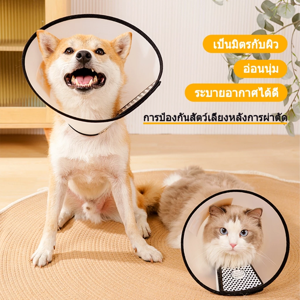ปลอกคอกันเลียแมว แบบลำโพง นุ่มสบาย ระบายอากาศ ทุกขนาด thumbnail 4
