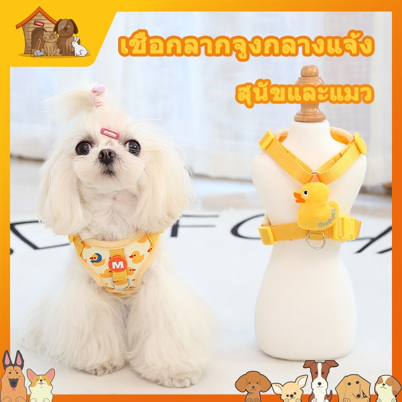 สายจูงสุนัขและแมวที่มีดีไซน์เป็นนกเป็ดสีเหลืองน่ารัก-ทนทาน-ใช้งานสะดวกสบาย-ใช้ได้ทั้งการเดินเล่น-ฝึกสอน-และการเดินทาง