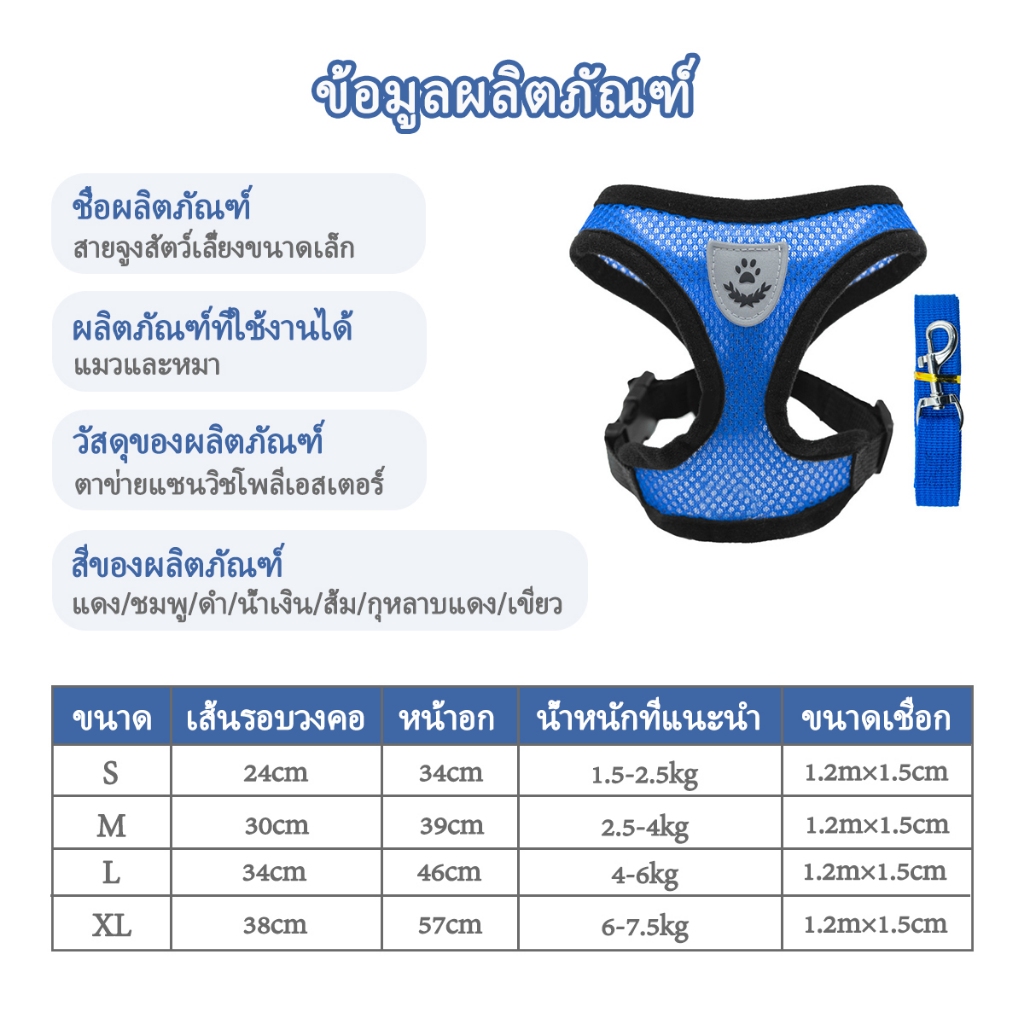 รูปภาพ 2