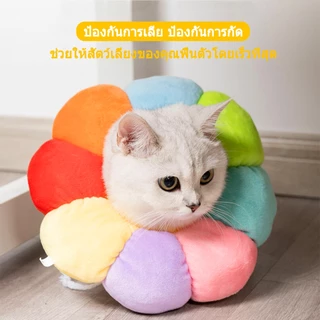 คอลล่าแมว กันเลียแมว ลําโพงแมว กันเลีย ลําโพงหมา ปอกคอแมว คอล่าแมว คอลล่าสุนัข คอลล่า คลอล่าแมว