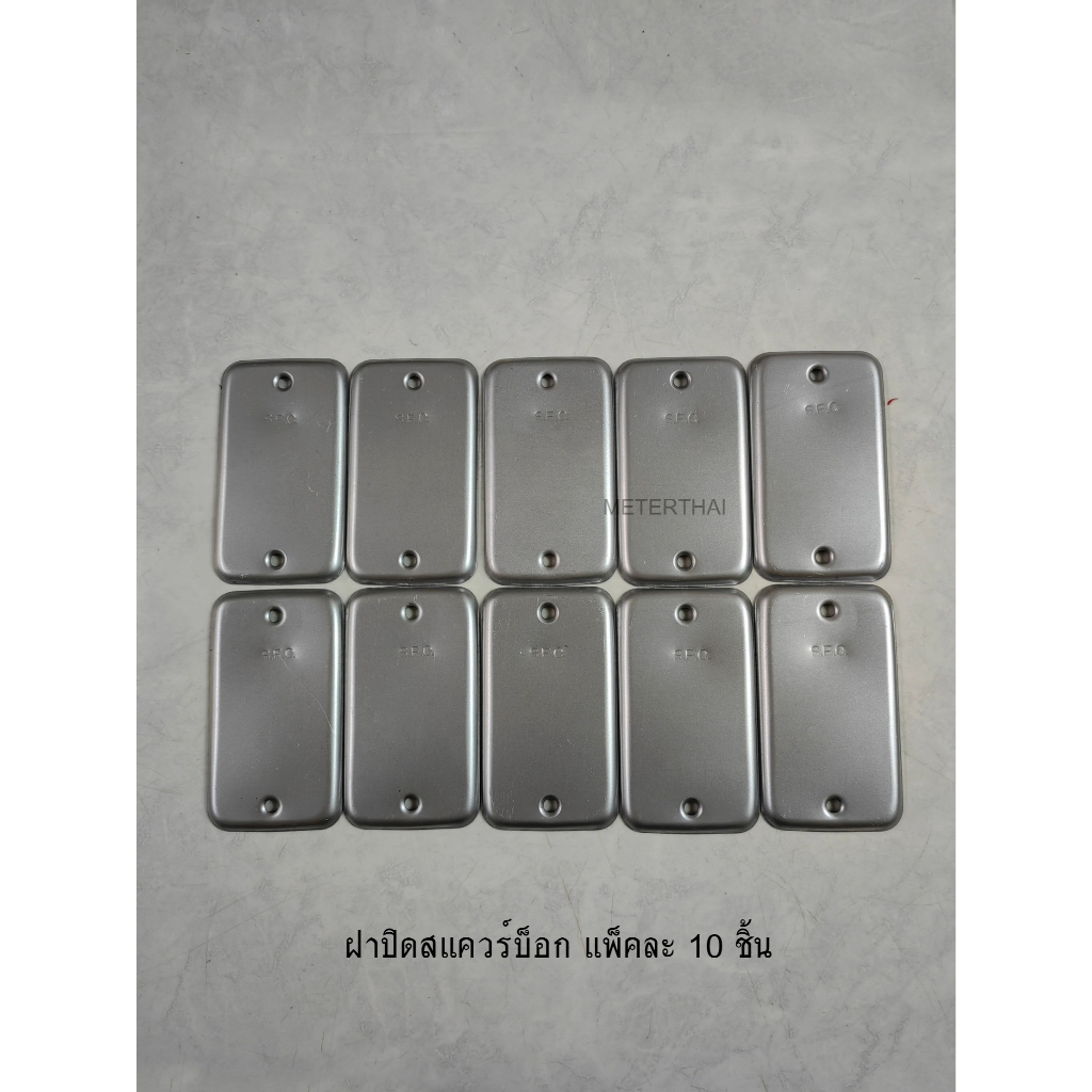 ฝาปิดแฮนดี้บ๊อกซ์ตื้น 2x4 นิ้ว Handy box Cover สแควร์บ๊อกซ์ (กล่องละ 10 ชิ้น)