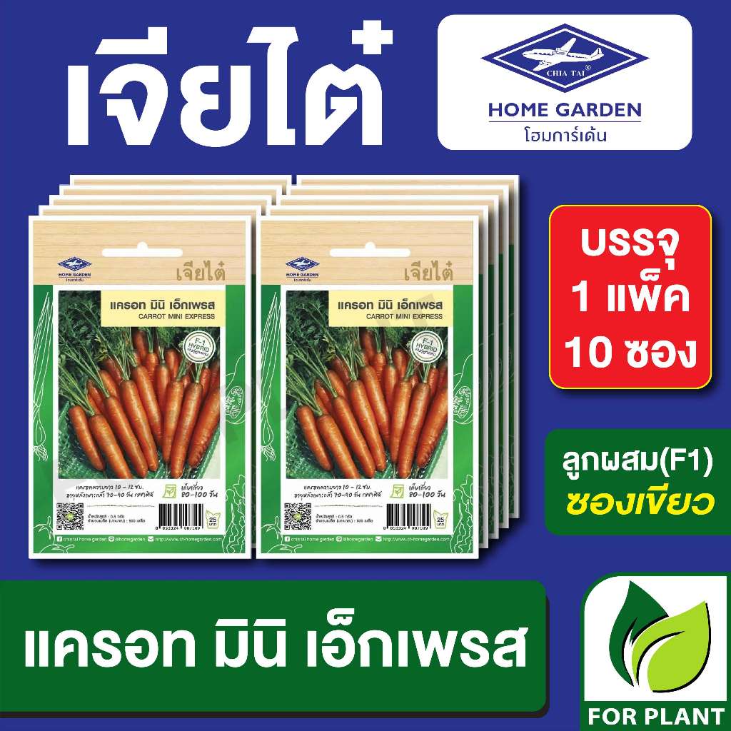 เมล็ดพันธุ์ ผักซอง มินิแครอท CT25 ตราเจียไต๋ บรรจุแพ็คละ 10 ซอง