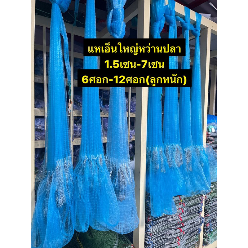 แหเอ็นปอนด์ขึ้นเพลาพร้อมใช้ 👍ขนาด 1.5เซน-7เซน (มีขนาด 6ศอก-12ศอก)👍ขึ้นเพลา พร้อมใช้งาน(น้ำหนักดี)
