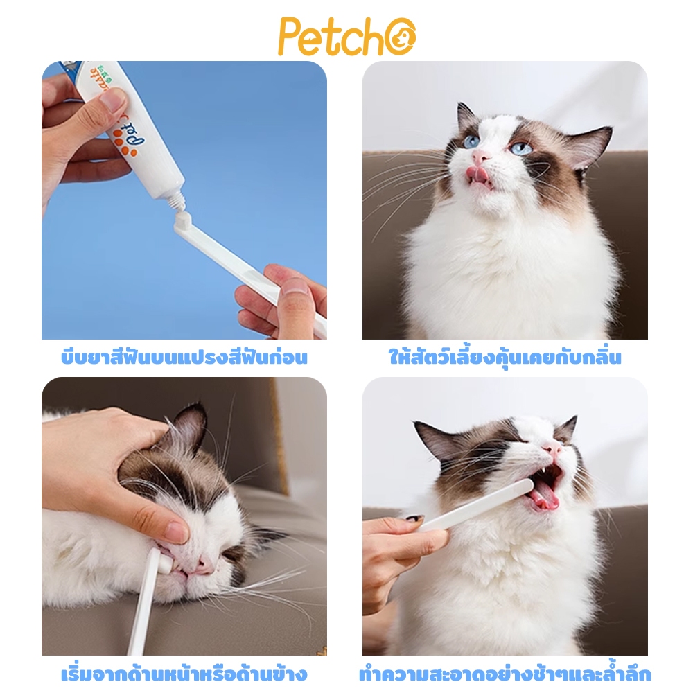 Petcho فرشاة أسنان ناعمة للقطط والكلاب — صورة 7