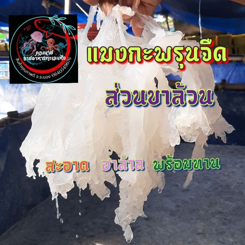 ขาล้วนแมงกะพรุนจืด พร้อมทาน สด สะอาด เกรด A