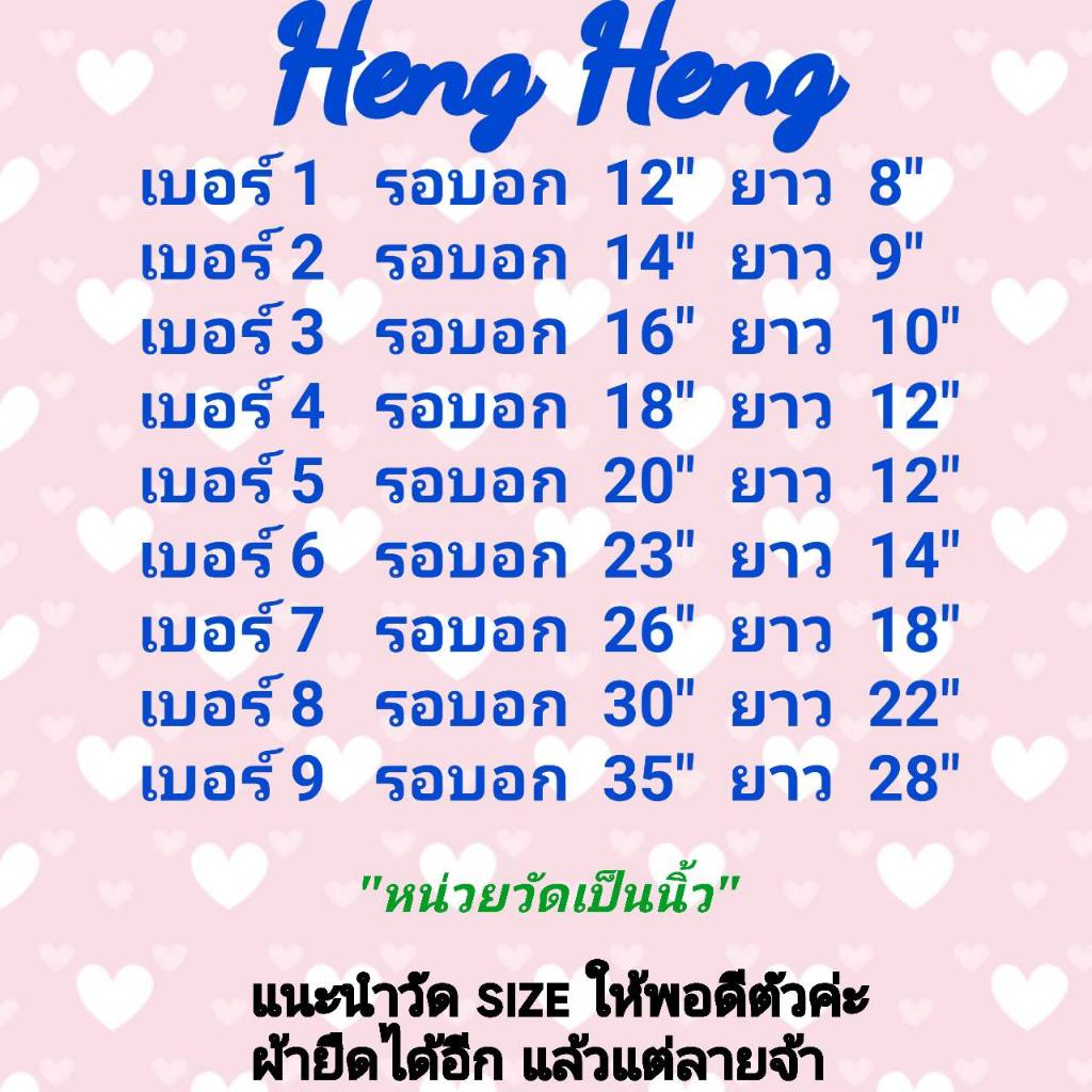 New!!! ชุดเก็บขนสุนัขและแมว Heng Heng brand - รูปที่ 2