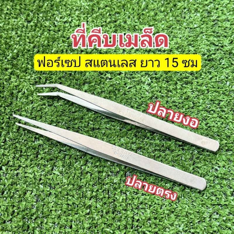 ปากคีบ ฟอร์เซป Forceps ปลายตรง ปลายงอ สแตนเลส 15 ซม